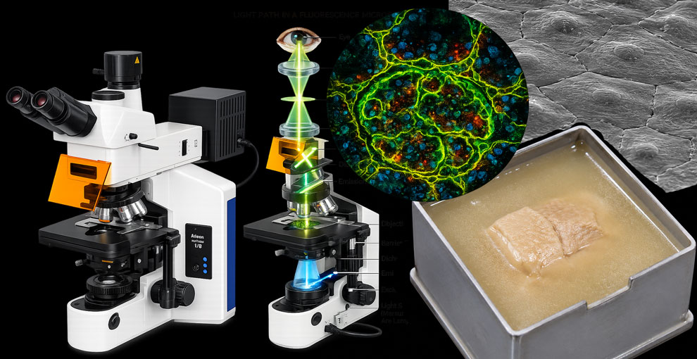 Microscopy